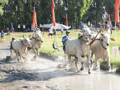 An Giang to celebrate Sen Dolta Festival