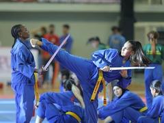 ​World Vovinam Championship opens, spreading the essence of Vietnamese martial arts to the world