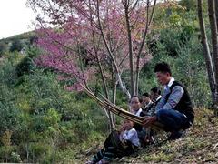 Wild peach festival kicks off in Mù Cang Chải