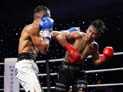 Vietnamese boxers to fight at South Korean War in Paradise event