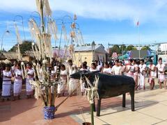 Festival presents most important ritual of Rơ Măm ethnic people