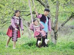 Idyllic Sơn La plum blossoms lure tourists in spring