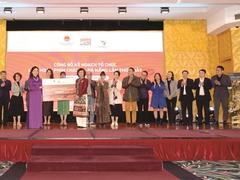 First Đà Nẵng Asian Film Festival to showcase strength of Vietnamese cinema