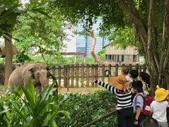Sài Gòn Zoo offers reading space for children