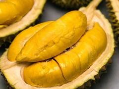 Cái Mơn durian attracts even gourmets for its special fragrance and sweetness