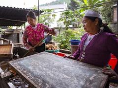 Mường ethnic artisans preserve craft on the verge of being forgotten