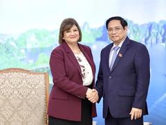 Egypt enjoys friendship with Việt Nam