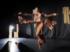 Vietnamese dance company to perform in int’l dance festival