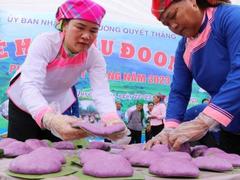 Ethnic festival educates forest conservation awareness