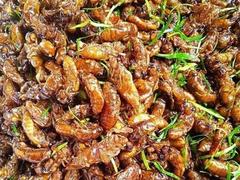 Roasted cicadas: A treat for those brave enough