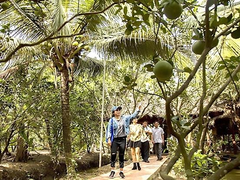 Bến Tre to develop unique tourism products, make tourism key industry