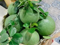 Green-skinned pomelos make Bến Tre famous worldwide