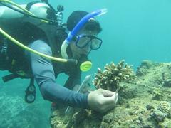 Coral reefs aid existence of marine species: conservation expert