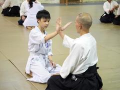 Martial art for peace