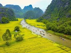 UNESCO official applauds Ninh Bình for heritage value promotion