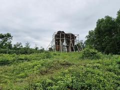 Đồng Dương Buddhist monastery needs emergency restoration