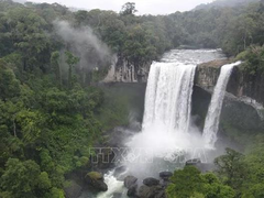 Network to connect ASEAN Heritage Parks in Việt Nam