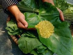 Delicacy of Hà Nội’s autumn