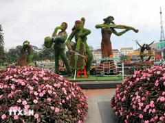 Many cultural artistic events planned for Đà Lạt Flower Festival 2024