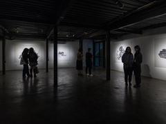 Finnish artist holds first exhibition in Việt Nam