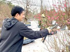 Spring emerges in the capital's bonsai villages