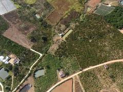 Aerial photos highlight beauty of Đà Lạt