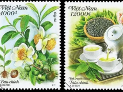 Postage stamp collection spotlights Vietnamese tea plant, culture