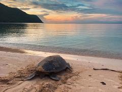 An unforgettable experience in Côn Đảo Archipelago