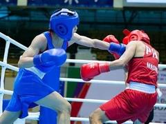 Boxers in intensive training for Olympic qualifier