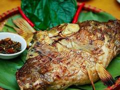 Điện Biên's culinary culture: must-try dishes
