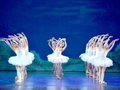 World-famous ballet Swan Lake to be performed at Opera House