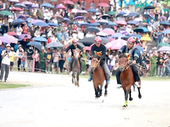 Bắc Hà's white plateau festival attracts thousands of tourists