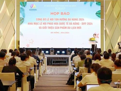 Enjoy Đà Nẵng festival to take visitors by storm in July