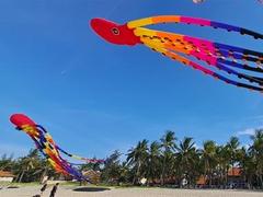 International kite players to fly on Quảng Nam beach