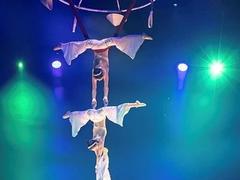 Vietnamese Circus wins award at Russia's largest international circus festival