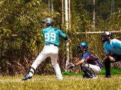 Baseball clubs to compete for national title in Đà Nẵng