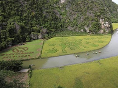 Ninh Bình tour among world’s best experiences: TripAdvisor