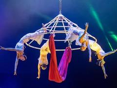 Vietnamese circus looks forward to new stature