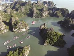 Vung Viêng fishing village draws in foreign tourists