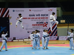 Taekwondo martial artists to fight for South Korean Ambassador Cup