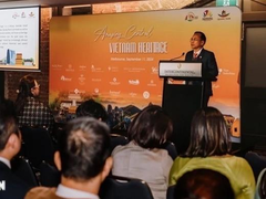 Quảng Nam, Đà Nẵng, Thừa Thien Huế promote tourism in Australia