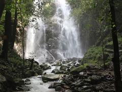 Chư Mom Ray, a jewel of nature in Việt Nam’s central highlands