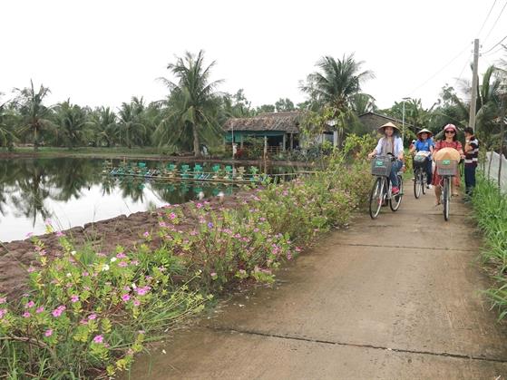 Trà Vinh Province focuses on developing nature-based tourism